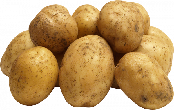 самоковски картоф